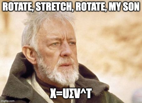 A meme picture featuring Obi-Wan Kenobi